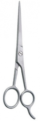 Barber Scissor 